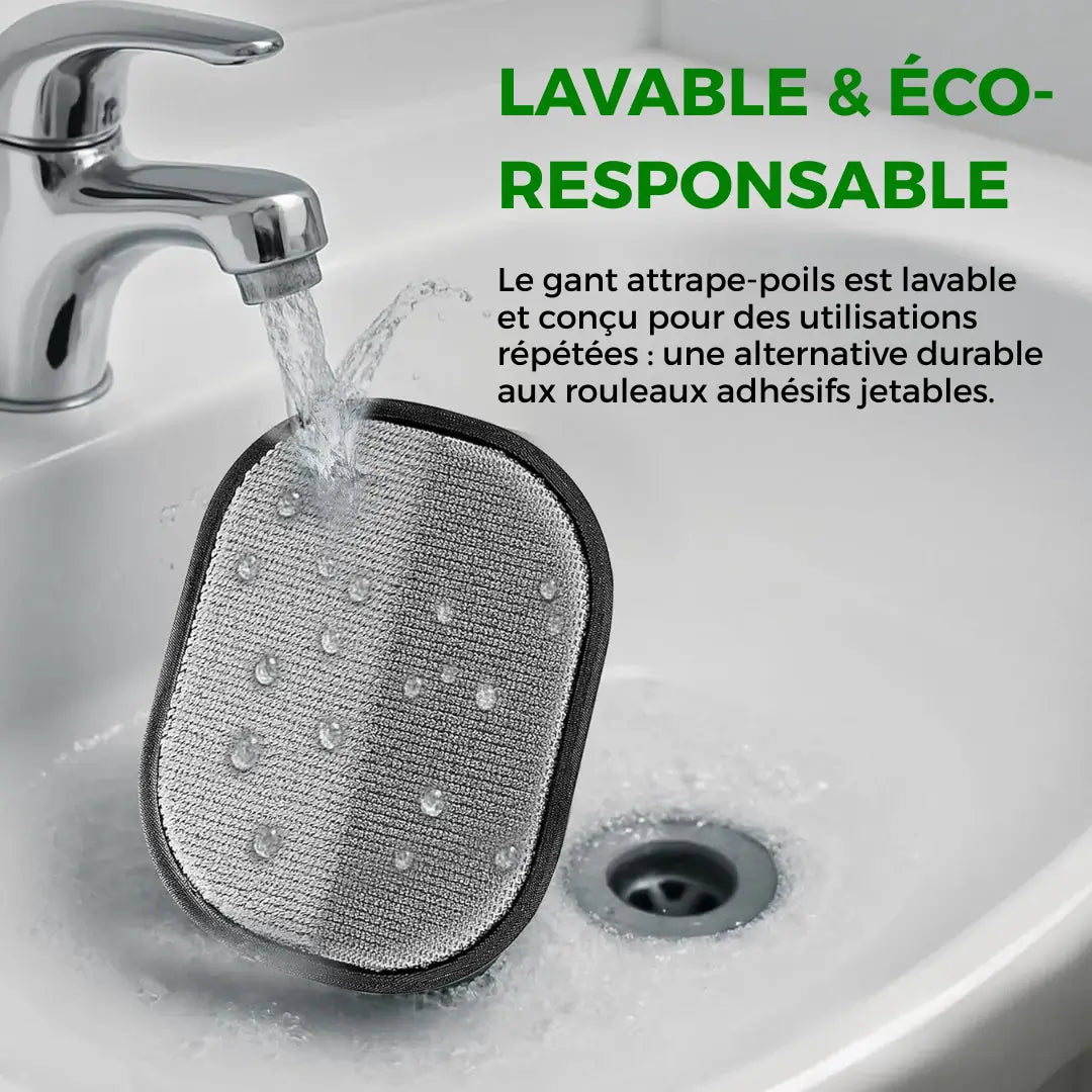 Gant Attrape'Poils | Réutilisable & Écologique