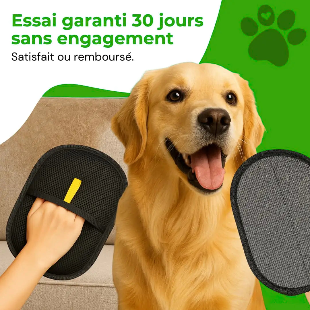 Gant Attrape'Poils | Réutilisable & Écologique