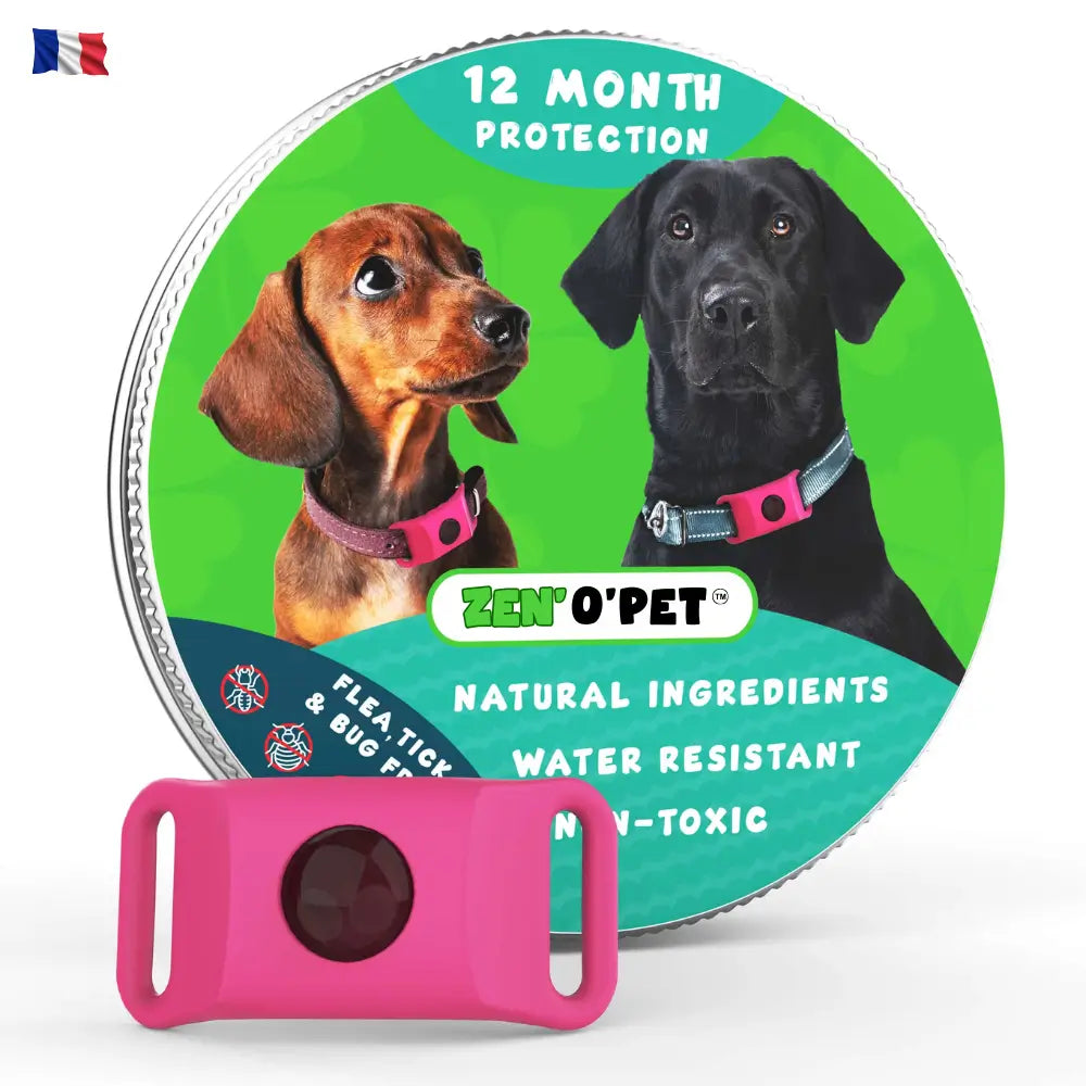 Protégez votre chien pendant 12 mois contre puces & tiques