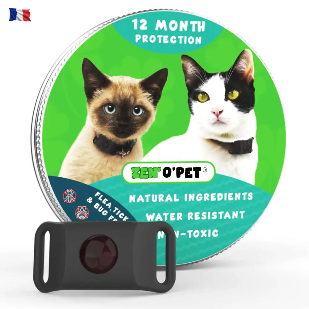 Protégez votre chat pendant 12 mois contre puces & tiques