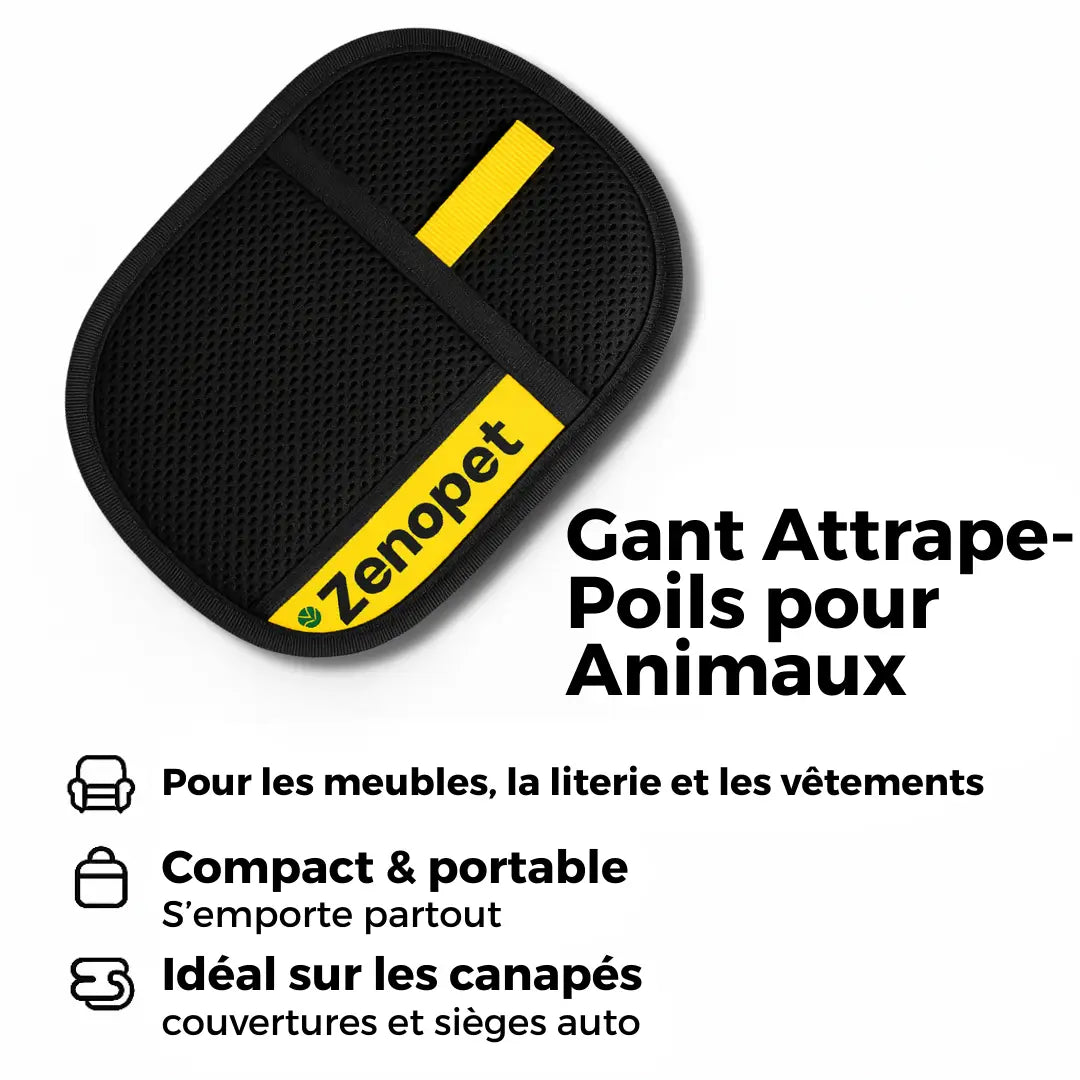 Gant Attrape'Poils | Réutilisable & Écologique