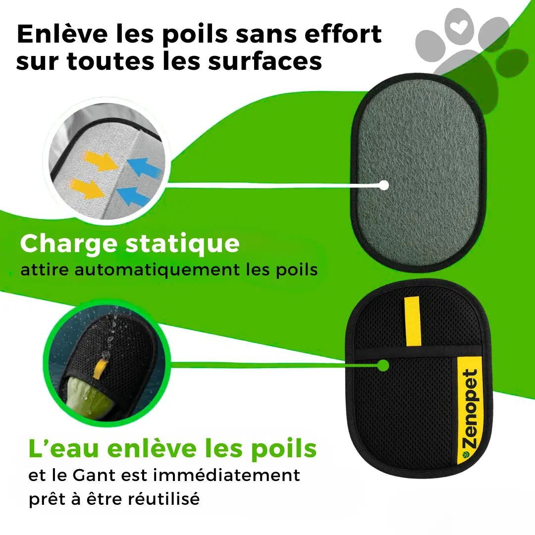 Gant Attrape'Poils | Réutilisable & Écologique