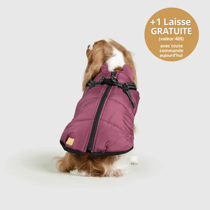 NordicPaws™ Manteau 3-en-1