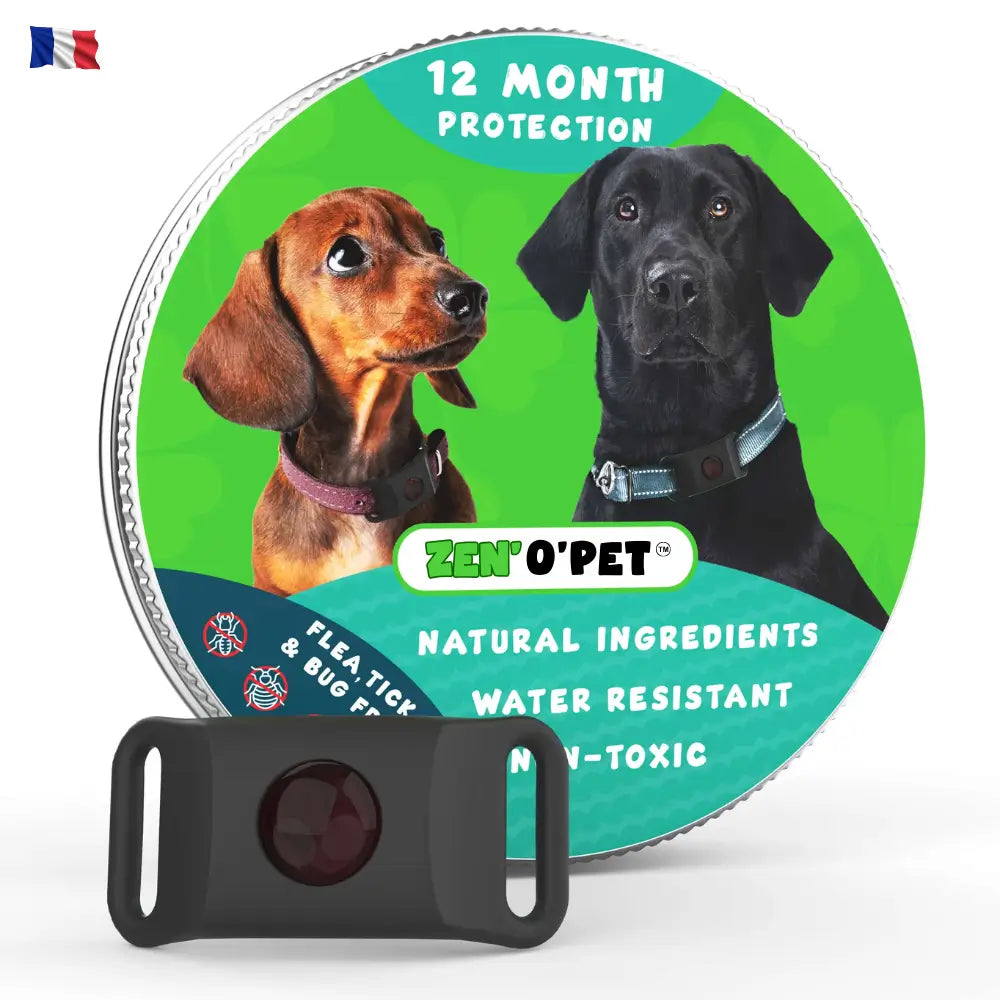 Protégez votre chien pendant 12 mois contre puces & tiques