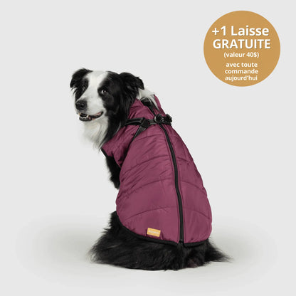 NordicPaws™ Manteau 3-en-1