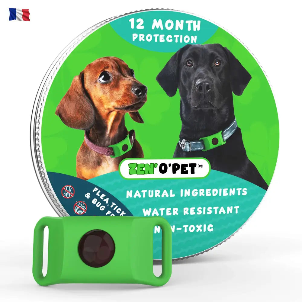 Protégez votre chien pendant 12 mois contre puces & tiques