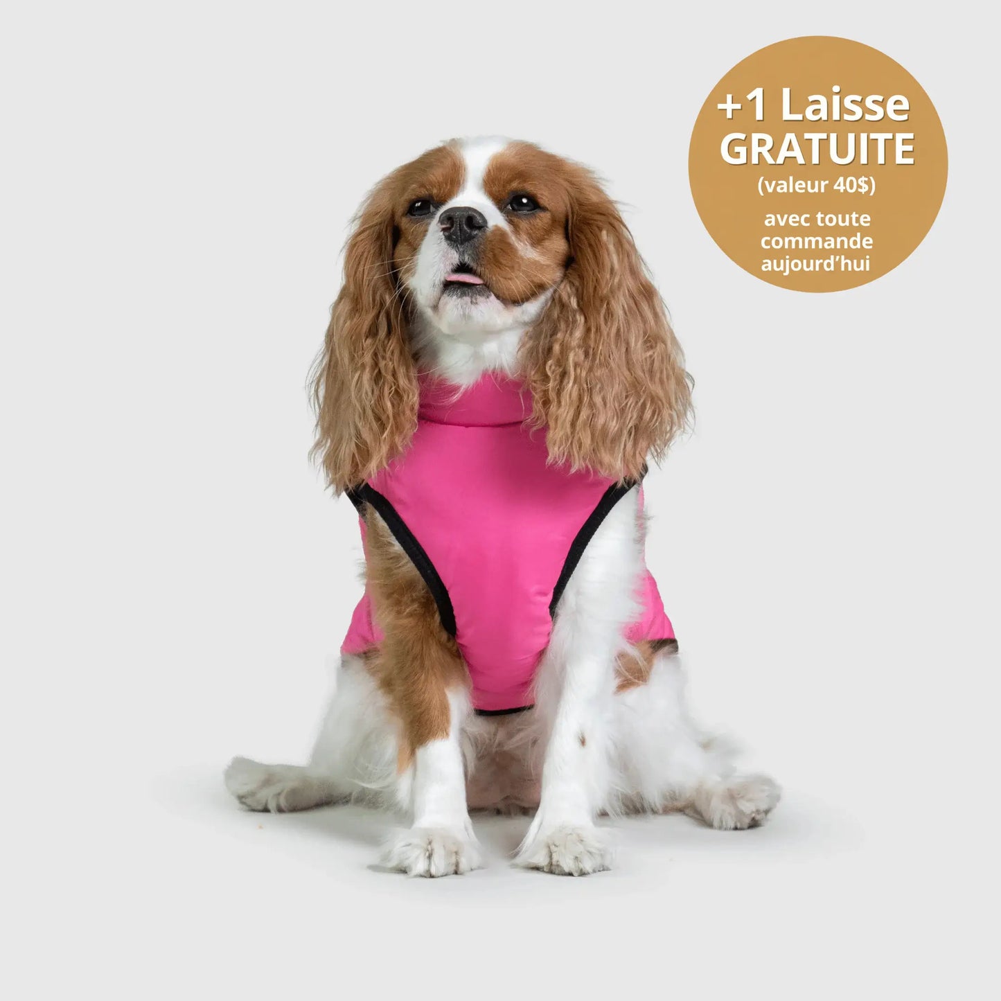 NordicPaws™ Manteau 3-en-1