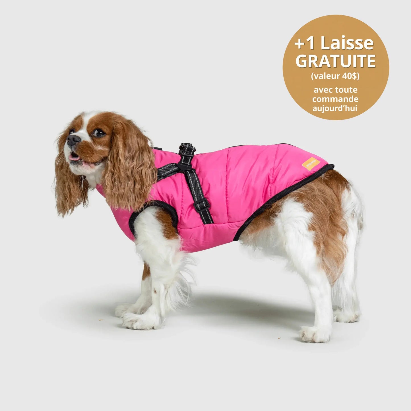 NordicPaws™ Manteau 3-en-1