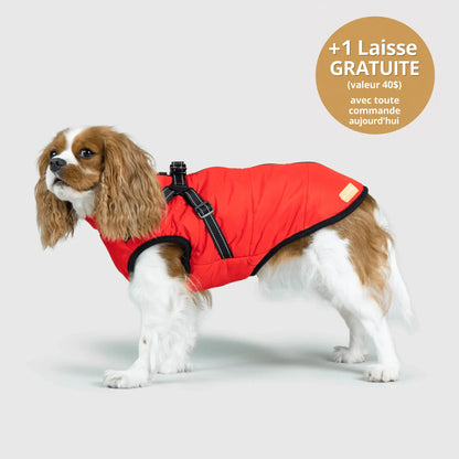 NordicPaws™ Manteau 3-en-1