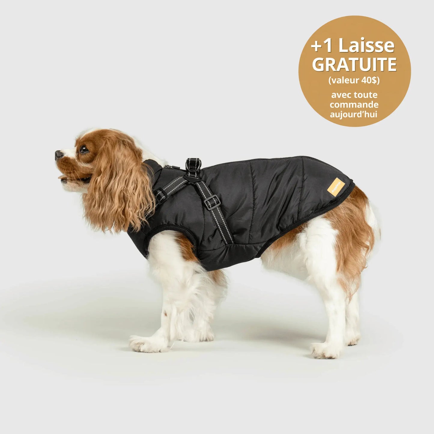 NordicPaws™ Manteau 3-en-1