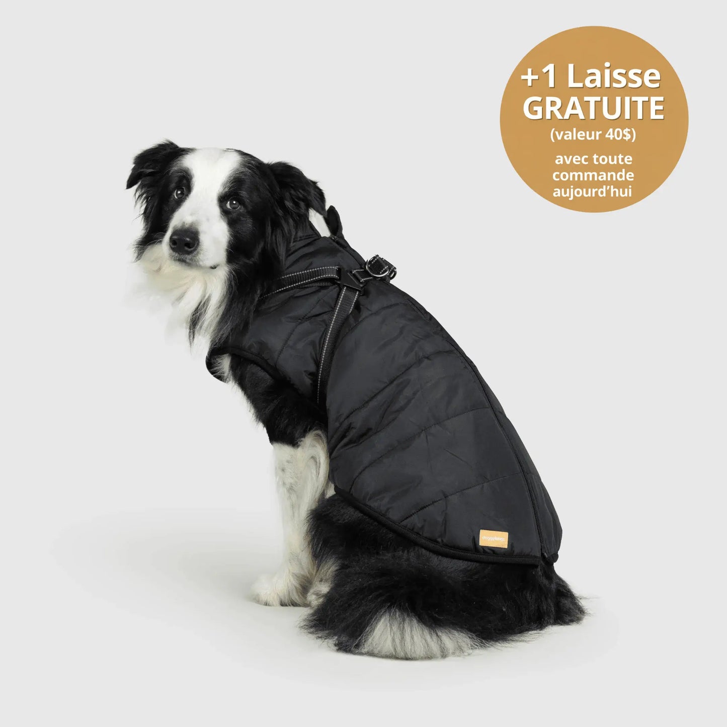 NordicPaws™ Manteau 3-en-1