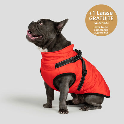 NordicPaws™ Manteau 3-en-1