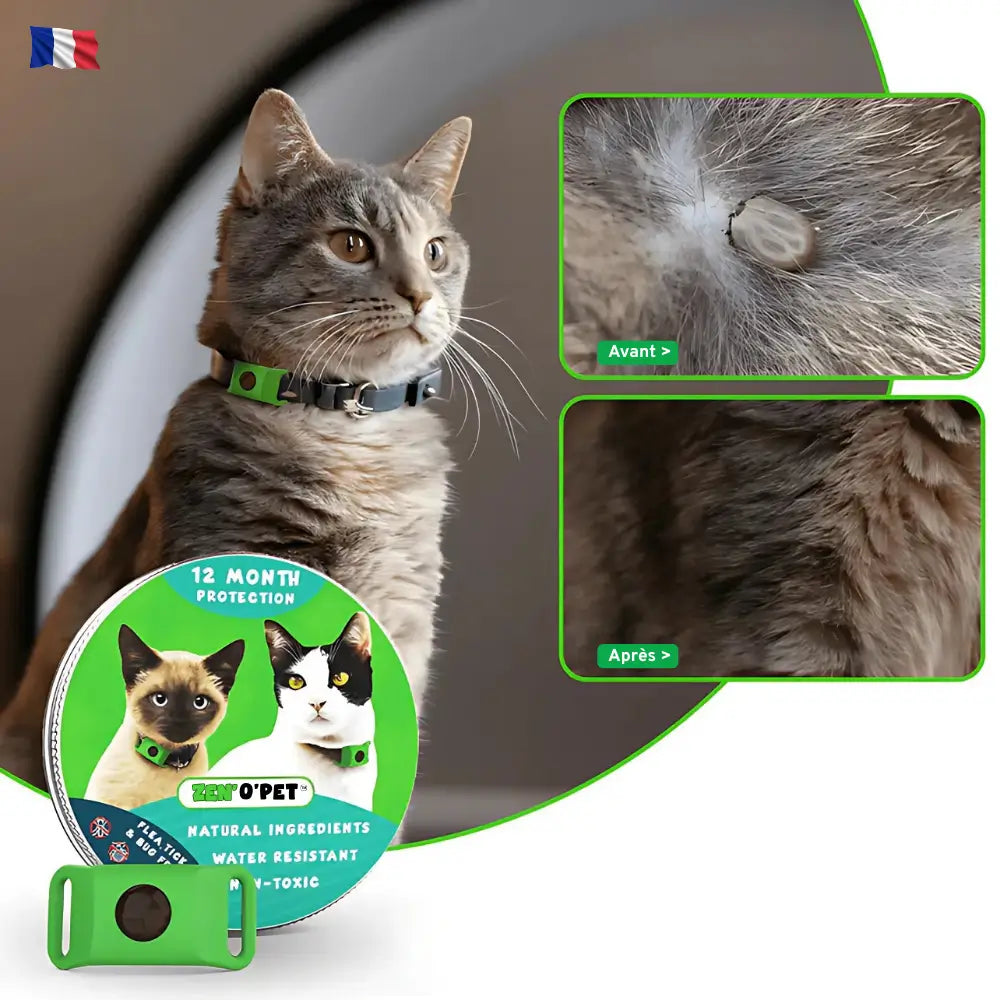 Protégez votre chat pendant 12 mois contre puces & tiques