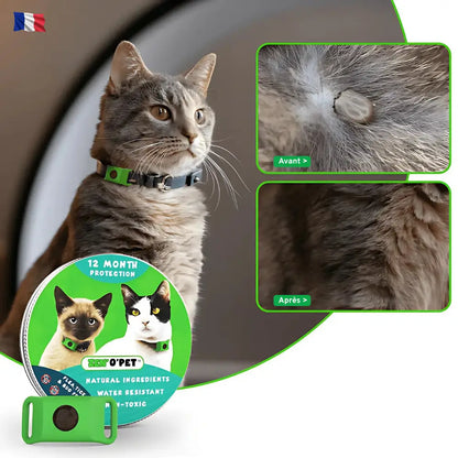 Protégez votre chat pendant 12 mois contre puces & tiques