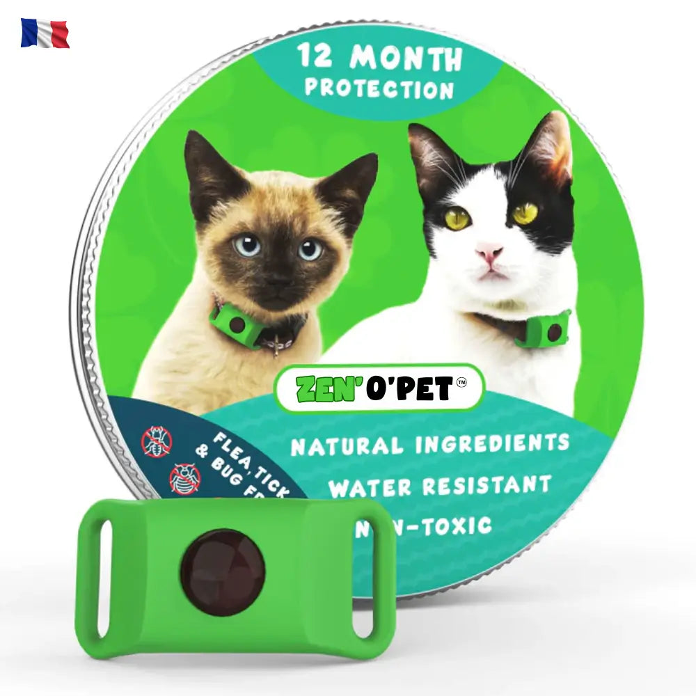 Protégez votre chat pendant 12 mois contre puces & tiques
