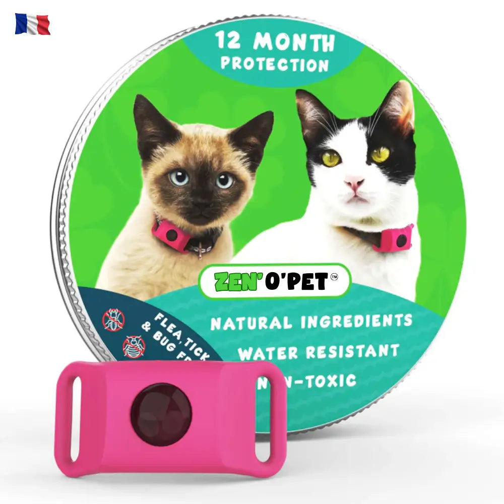 Protégez votre chat pendant 12 mois contre puces & tiques