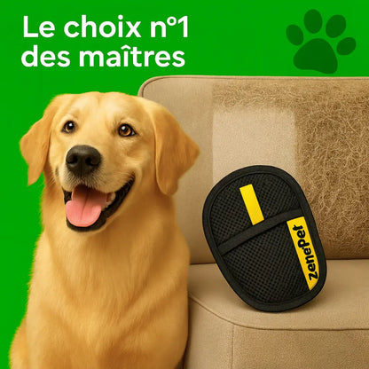 Gant Attrape'Poils | Réutilisable & Écologique