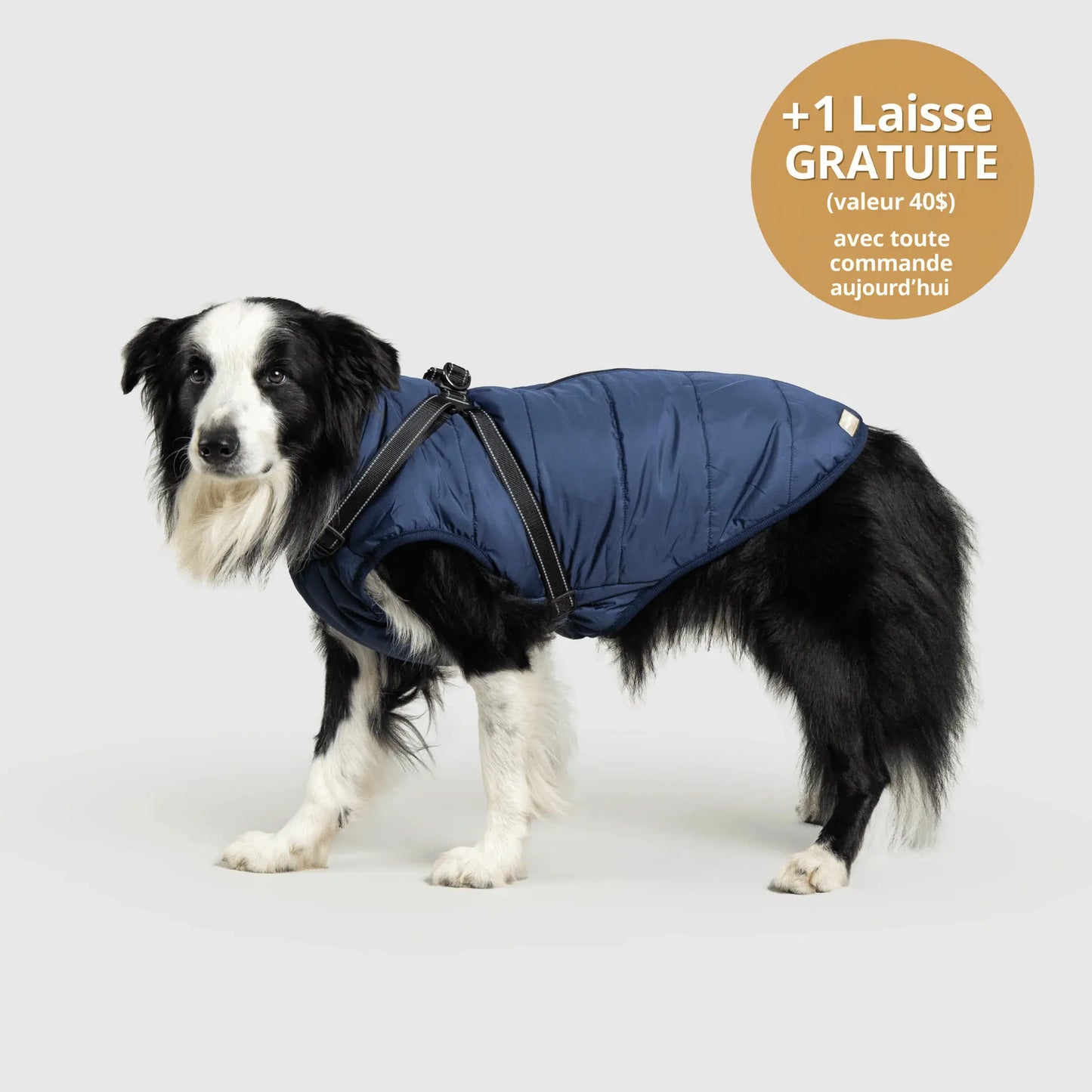 NordicPaws™ Manteau 3-en-1