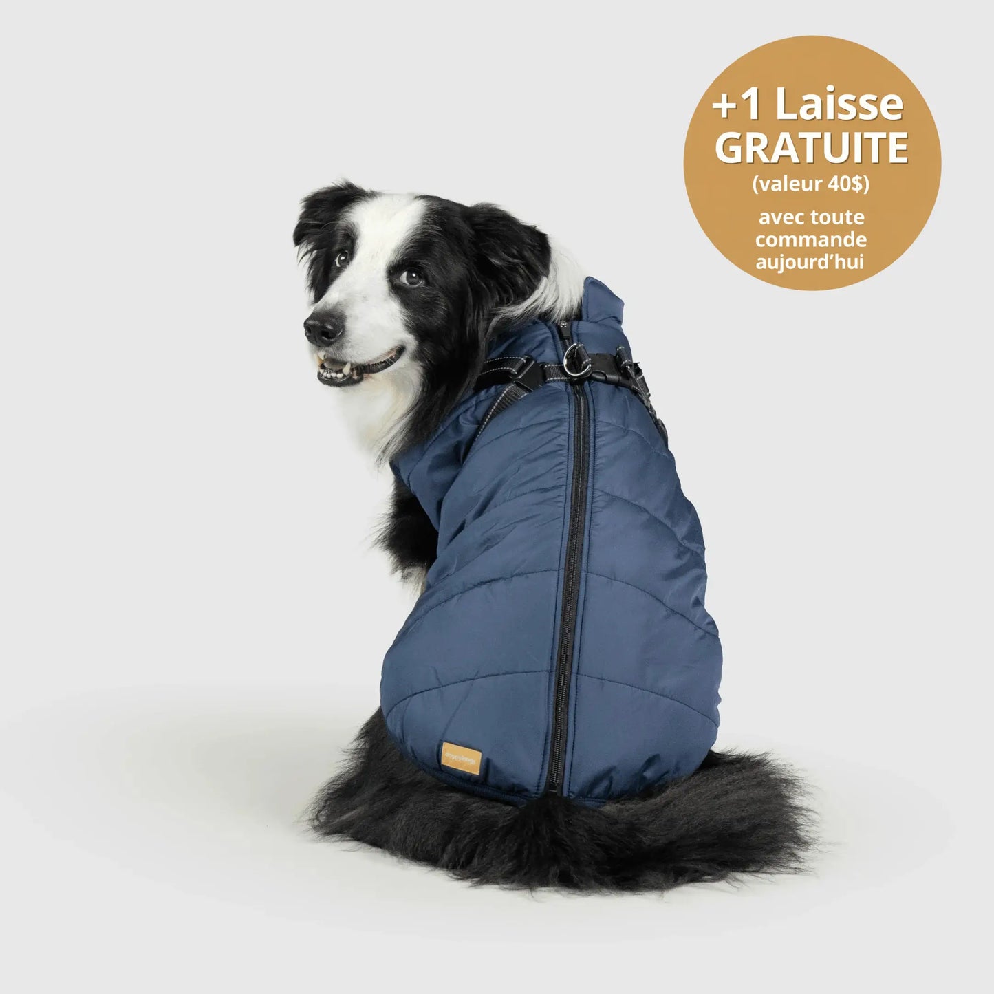 NordicPaws™ Manteau 3-en-1