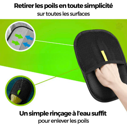 AttrapePoils | Betseller ZenoPet