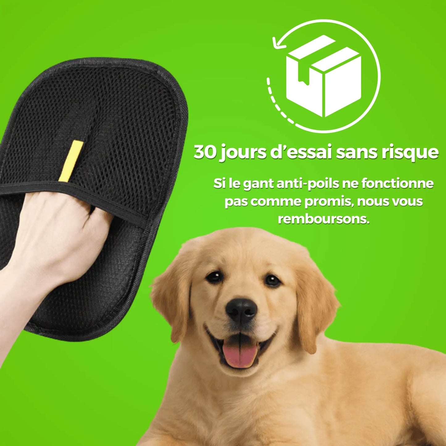 AttrapePoils | Betseller Zen'o'Pet