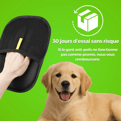 AttrapePoils | Betseller Zen'o'Pet