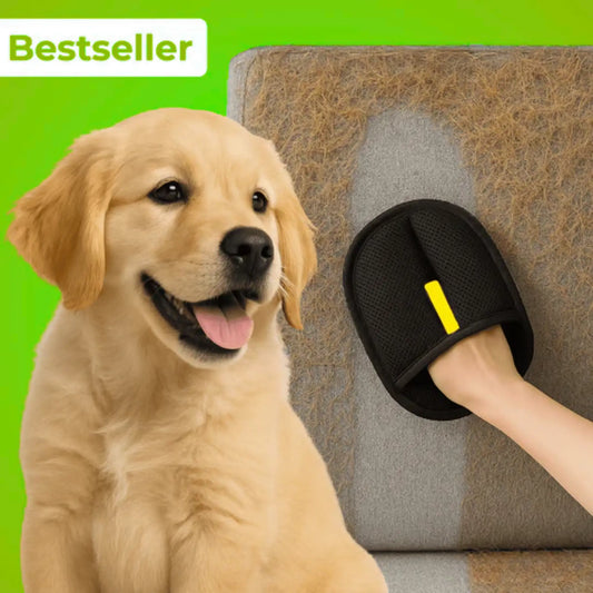 AttrapePoils | Betseller Zen'o'Pet
