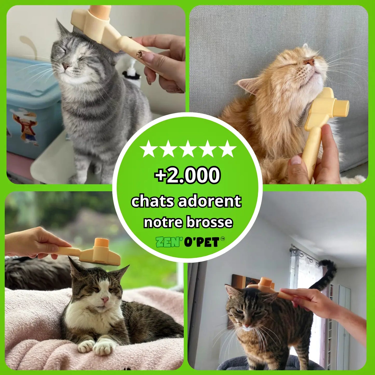 Brosse Calinou - Best-seller
