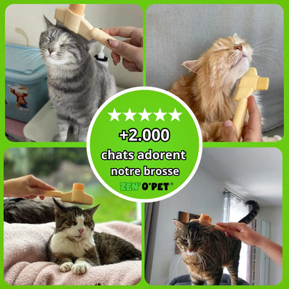 Brosse Calinou - Best-seller
