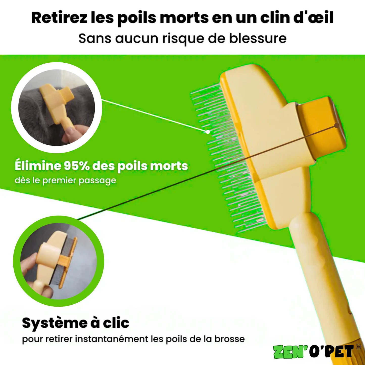 Brosse Calinou - Best-seller