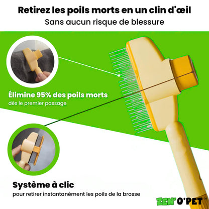 Brosse Calinou - Best-seller