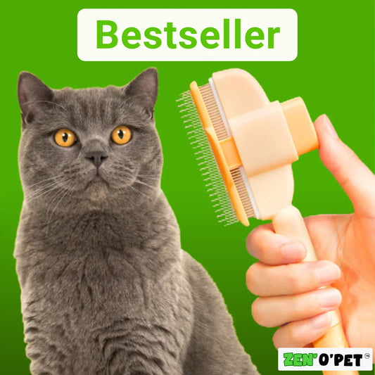 Brosse Calinou - Best-seller