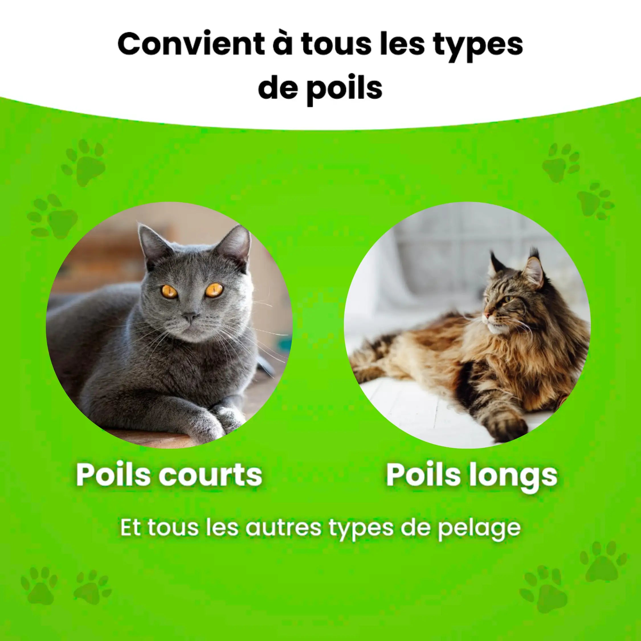 Brosse Pour Chien Et Chat - Enlève 95% Des Poils Morts - Poignée Ergonomique - Blanche, Douce Pour La Peau