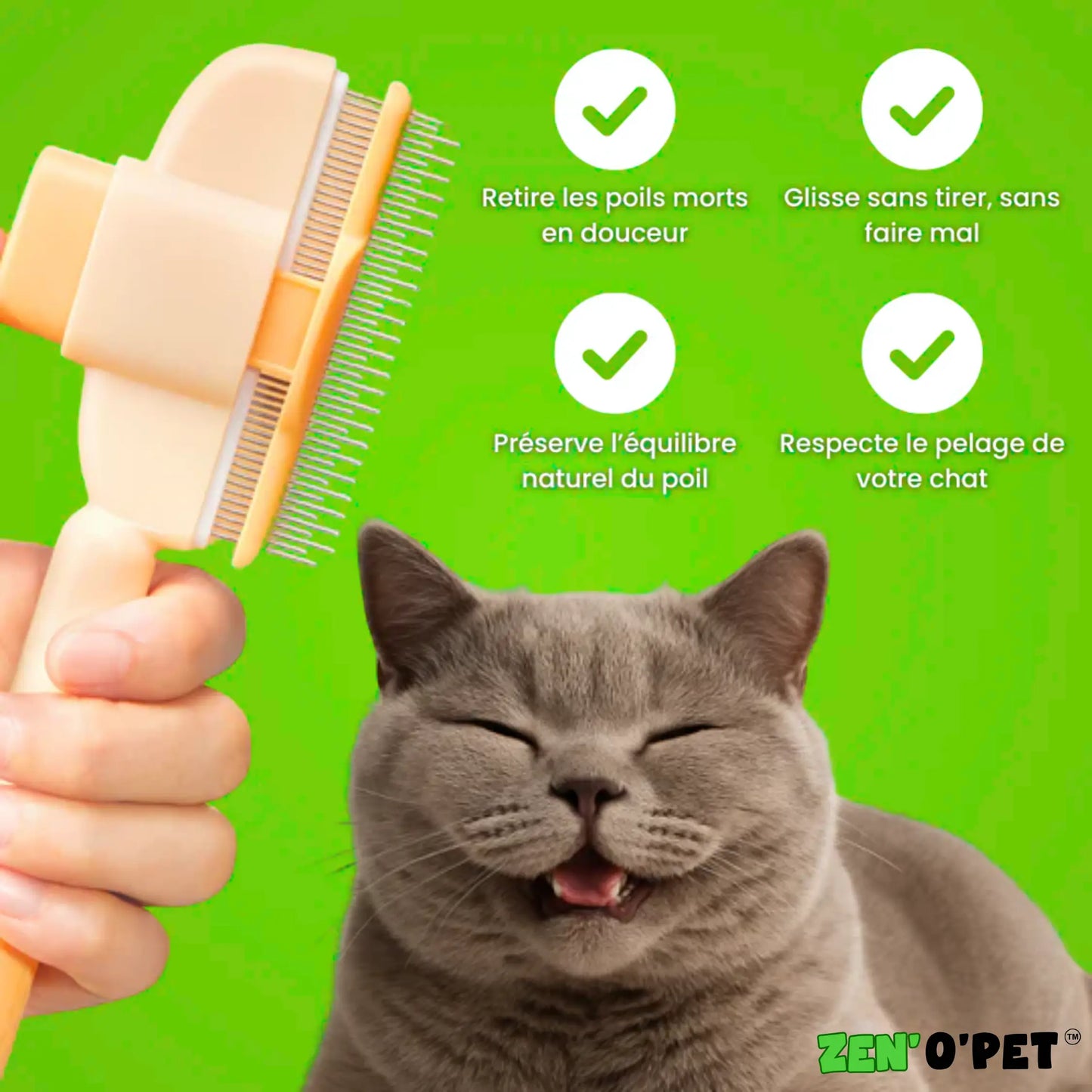 Brosse Calinou - Best-seller