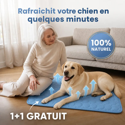 Tapis rafraîchissant Arctic™— 2 pour 1