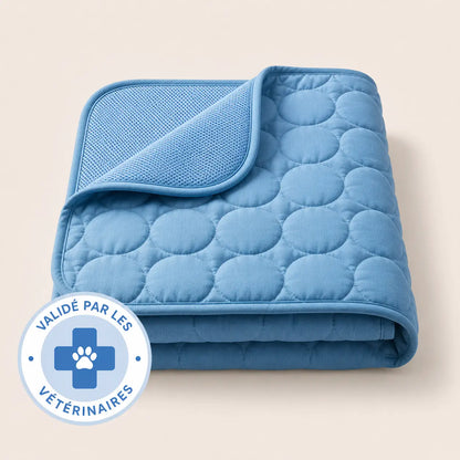Tapis rafraîchissant Arctic™— 2 pour 1