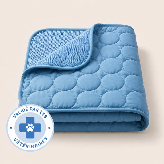 Tapis rafraîchissant Arctic™— 2 pour 1