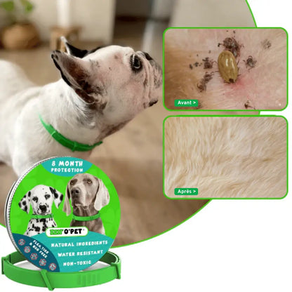 Collier anti-puces et tiques pour chiens – 8 mois de protection