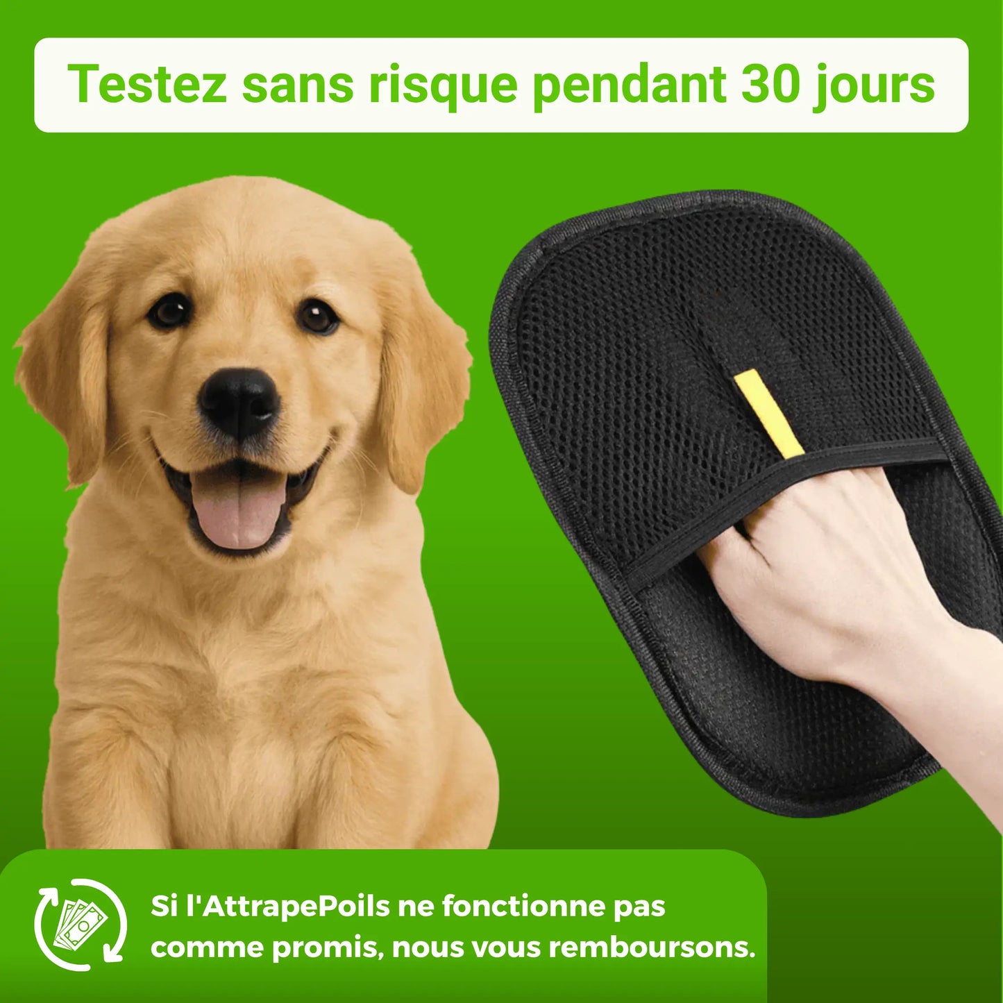 AttrapePoils | Betseller Zen'o'Pet
