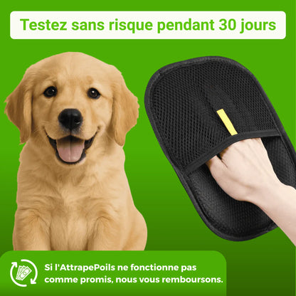 AttrapePoils | Betseller Zen'o'Pet