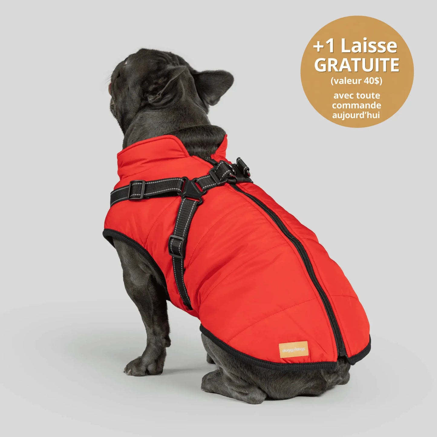 NordicPaws™ Manteau 3-en-1