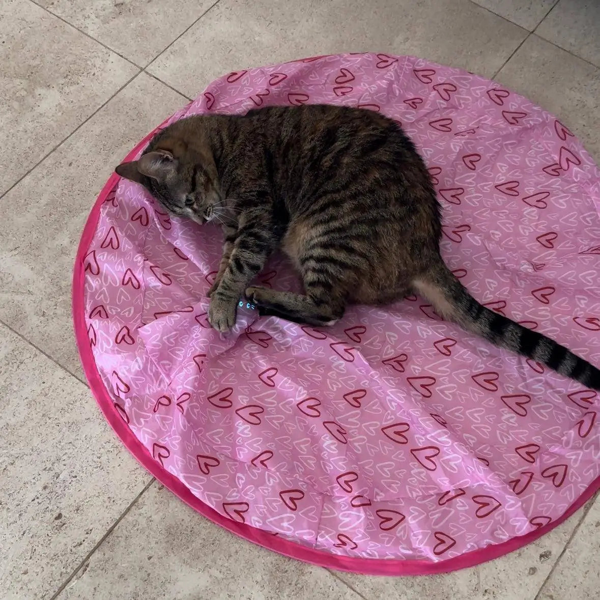 Jouet de chasse thérapeutique pour chats d’intérieur