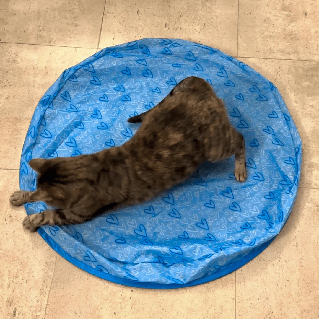 Jouet de chasse thérapeutique pour chats d’intérieur