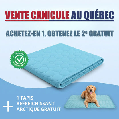 Tapis rafraîchissant Arctic™— 2 pour 1