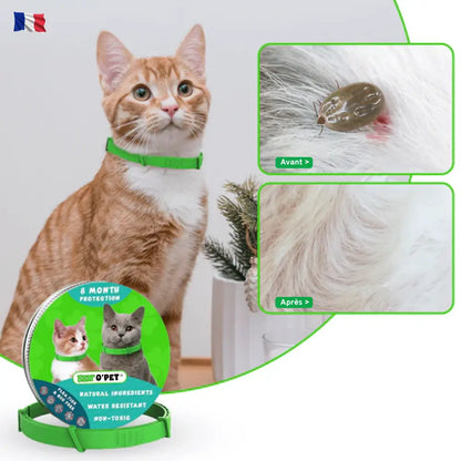 Collier anti-puces et tiques pour chats – 8 mois de protection