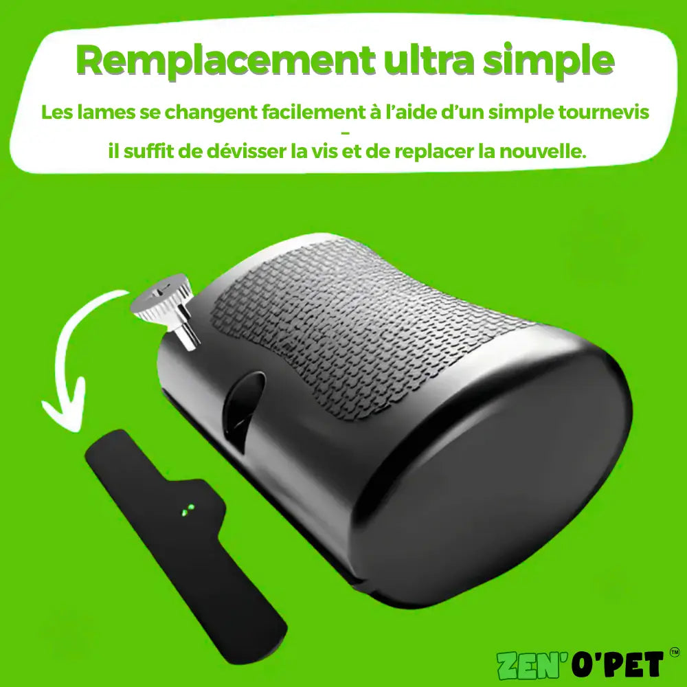 3 Replacement Blades for your PelageZen Brush