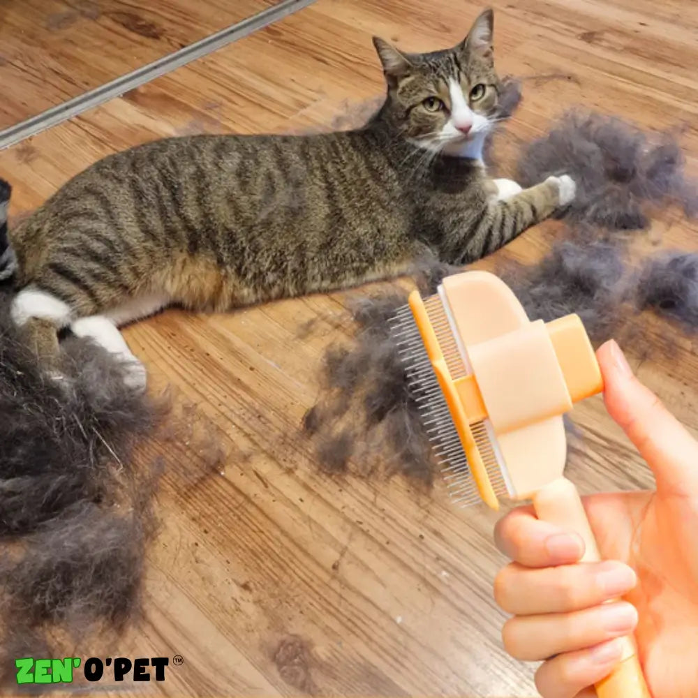 Brosse Calinou - Best-seller