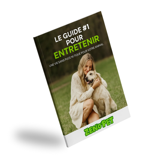 eBook - The Canine Guide #1