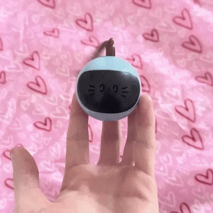 Jouet de chasse thérapeutique pour chats d’intérieur