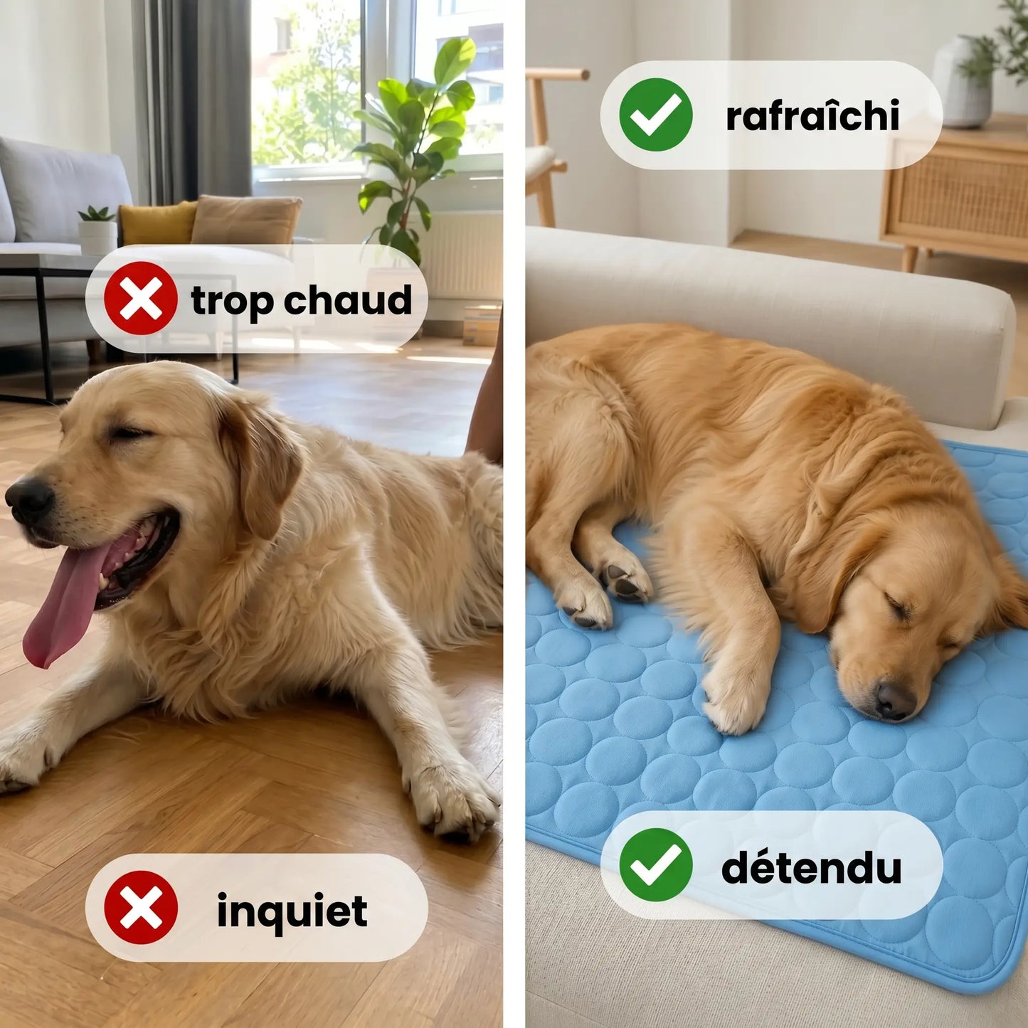 Tapis rafraîchissant Arctic™— 2 pour 1